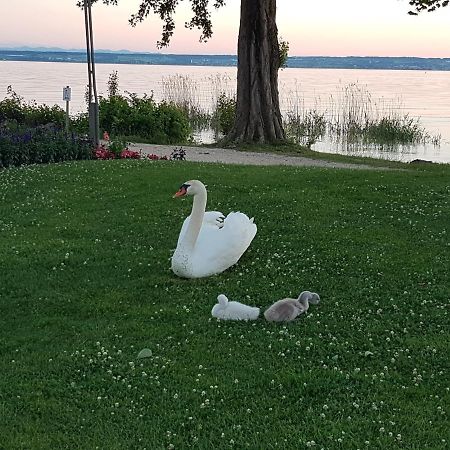 Malvelyns Am Bodensee Immenstaad am Bodensee Exteriér fotografie