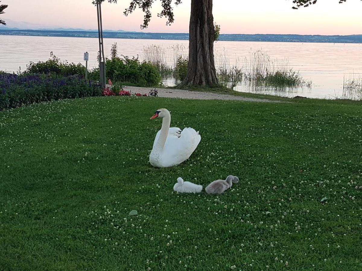 Malvelyns Am Bodensee Immenstaad am Bodensee Exteriér fotografie